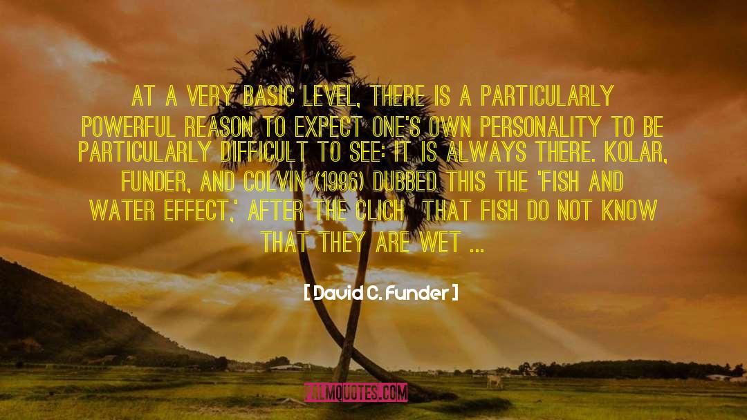 David C. Funder Quotes: At a very basic level,