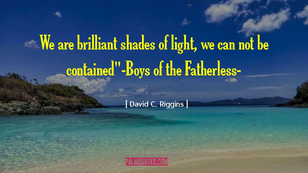 David C. Riggins Quotes: We are brilliant shades of