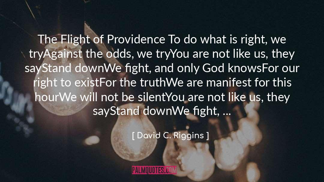 David C. Riggins Quotes: The Flight of Providence <br