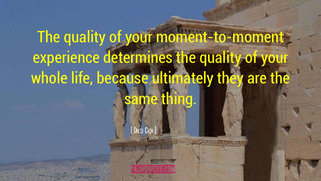 David Cain Quotes: The quality of your moment-to-moment