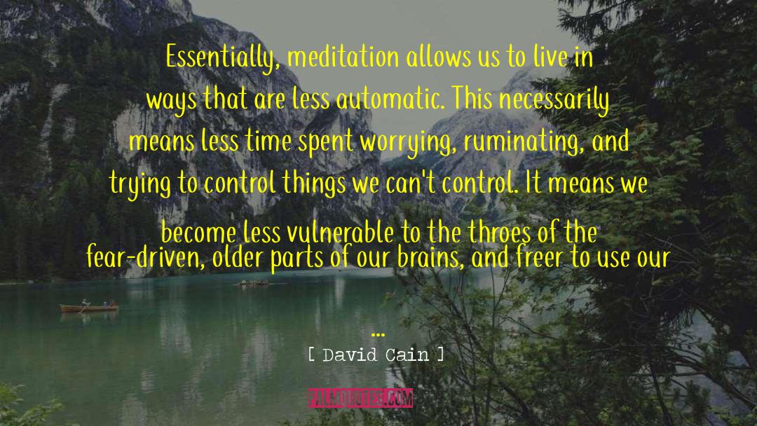 David Cain Quotes: Essentially, meditation allows us to