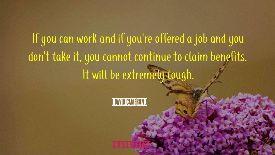 David Cameron Quotes: If you can work and