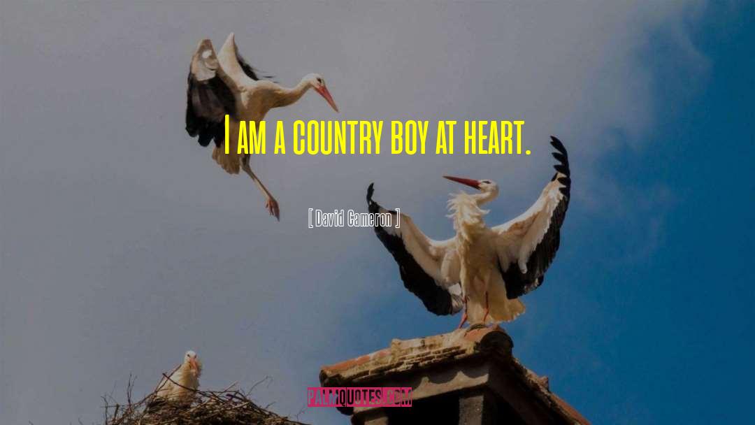 David Cameron Quotes: I am a country boy