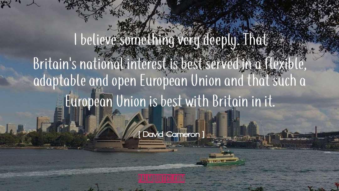 David Cameron Quotes: I believe something very deeply.