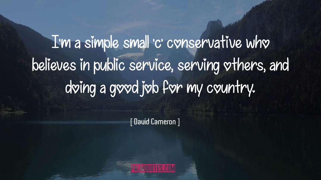 David Cameron Quotes: I'm a simple small 'c'