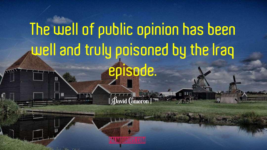 David Cameron Quotes: The well of public opinion