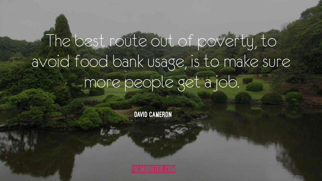 David Cameron Quotes: The best route out of