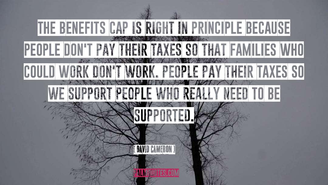 David Cameron Quotes: The benefits cap is right