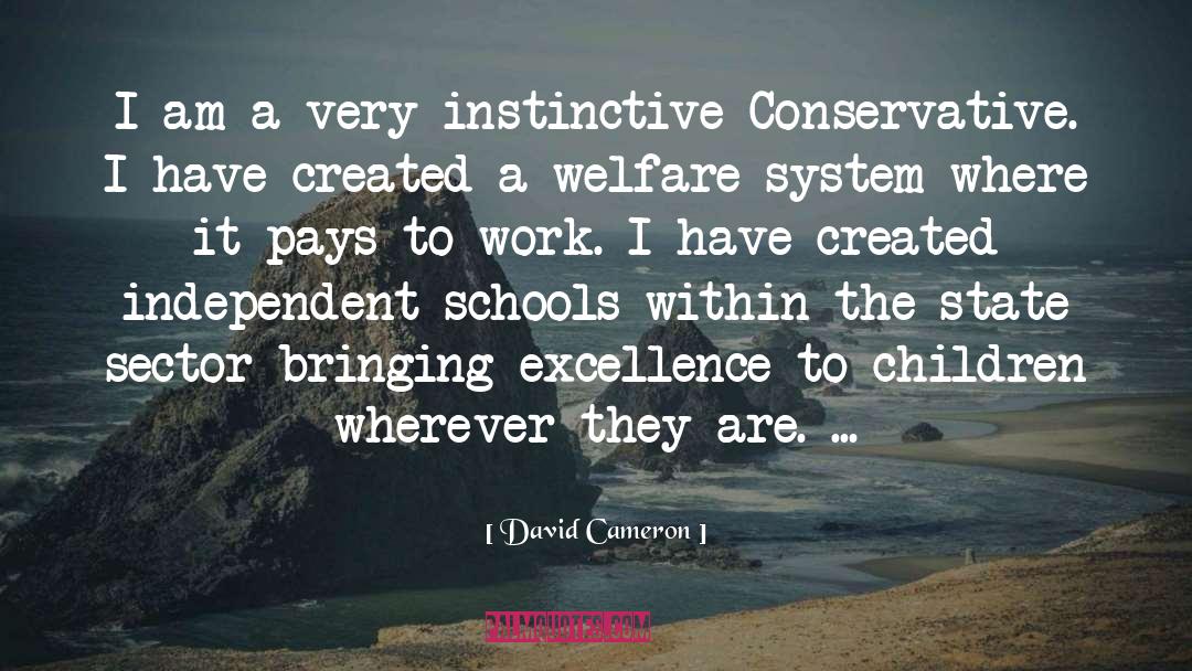 David Cameron Quotes: I am a very instinctive