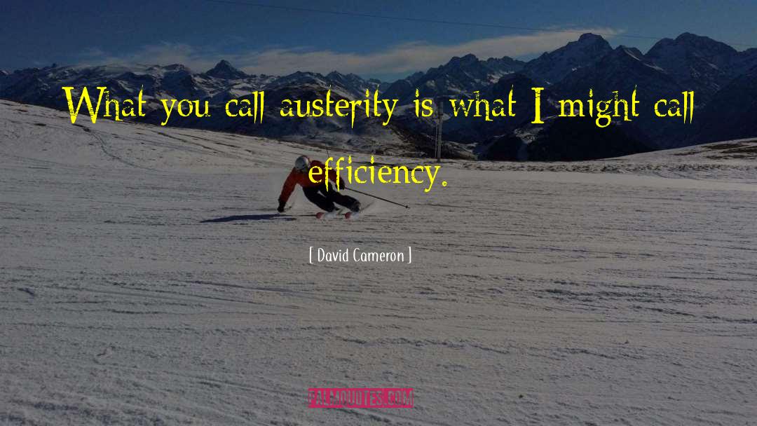 David Cameron Quotes: What you call austerity is