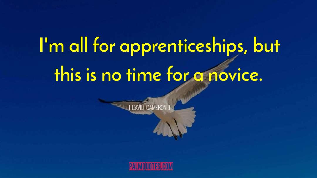 David Cameron Quotes: I'm all for apprenticeships, but