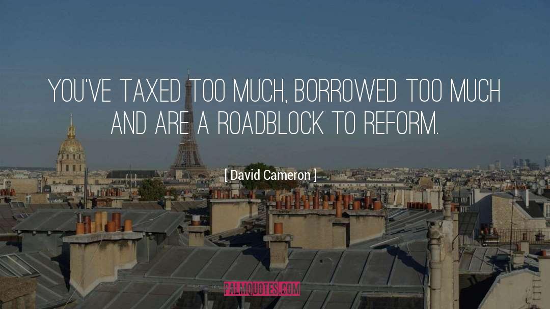 David Cameron Quotes: You've taxed too much, borrowed