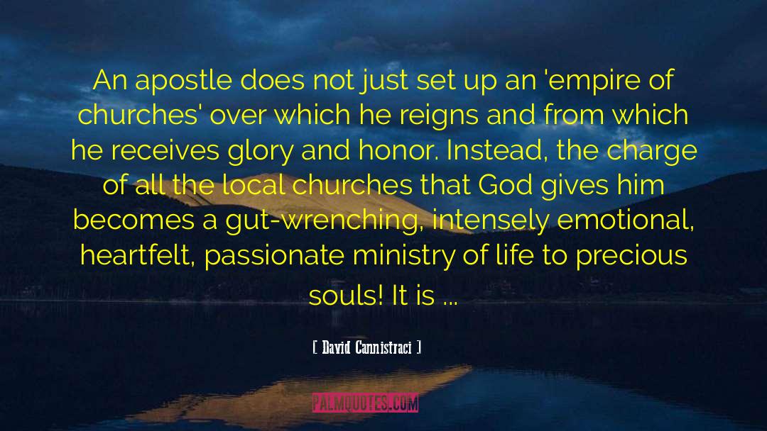 David Cannistraci Quotes: An apostle does not just