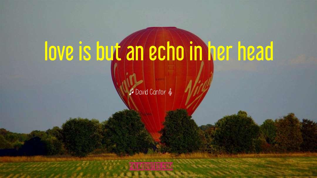 David Cantor Quotes: love is but an echo