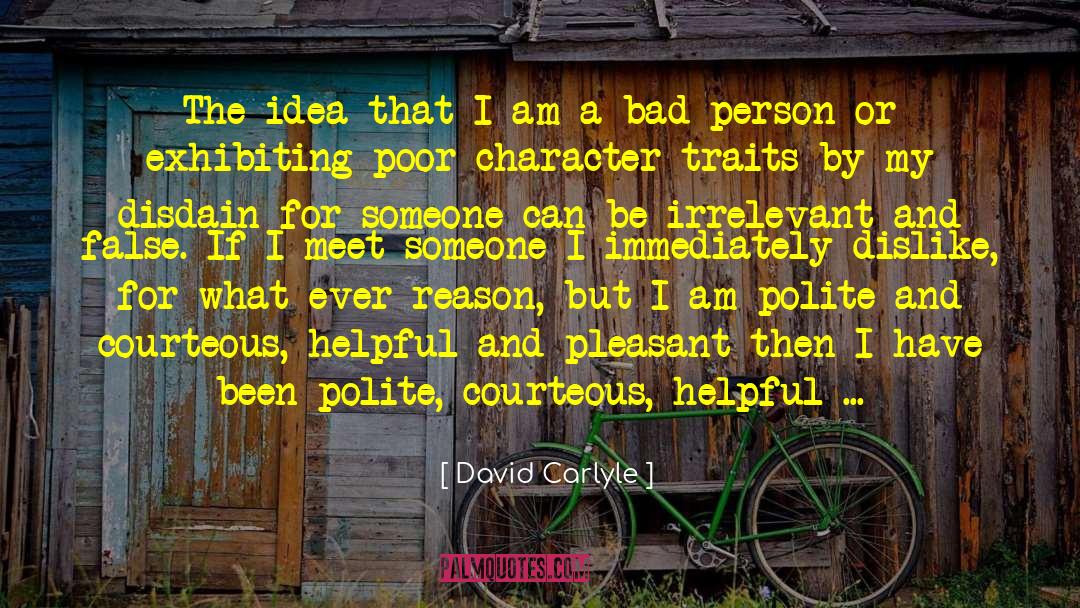 David Carlyle Quotes: The idea that I am