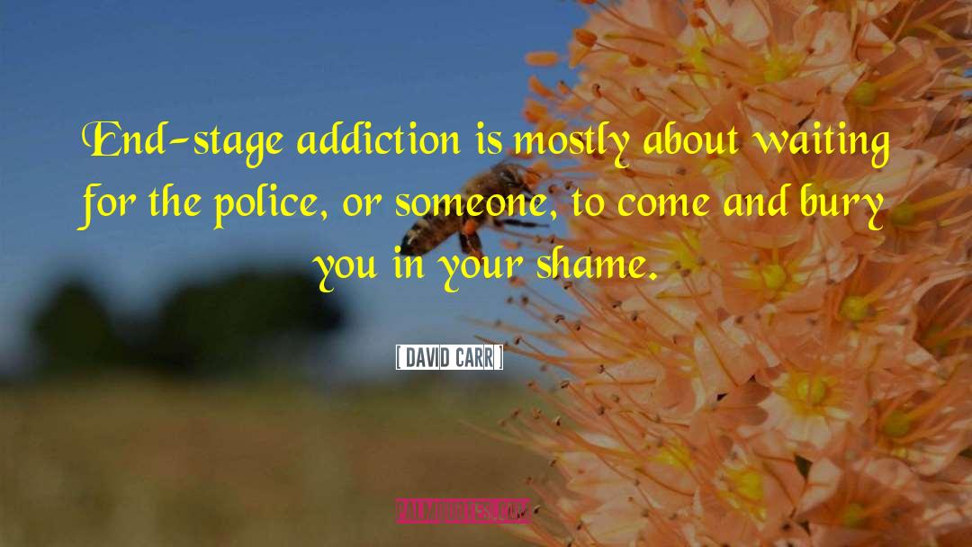 David Carr Quotes: End-stage addiction is mostly about