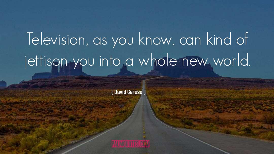 David Caruso Quotes: Television, as you know, can