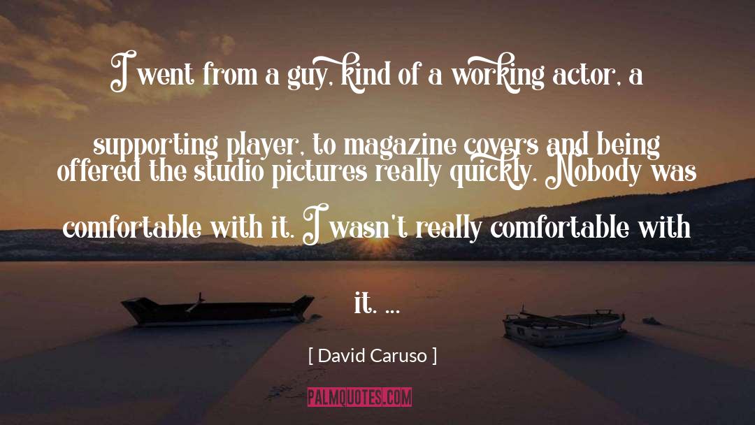 David Caruso Quotes: I went from a guy,