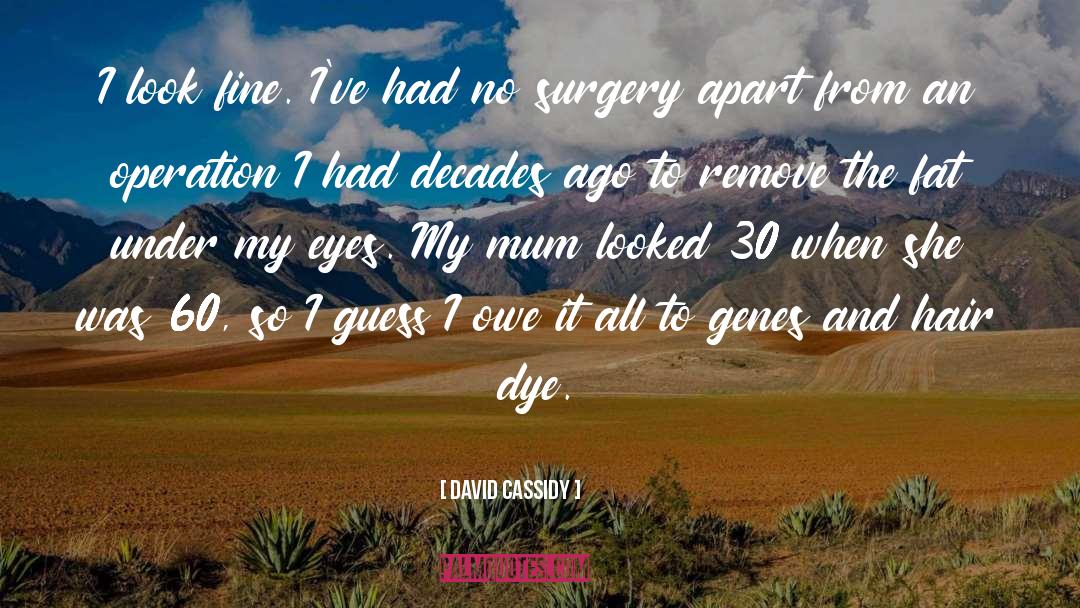 David Cassidy Quotes: I look fine. I've had