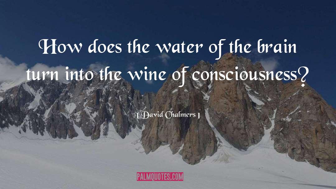 David Chalmers Quotes: How does the water of