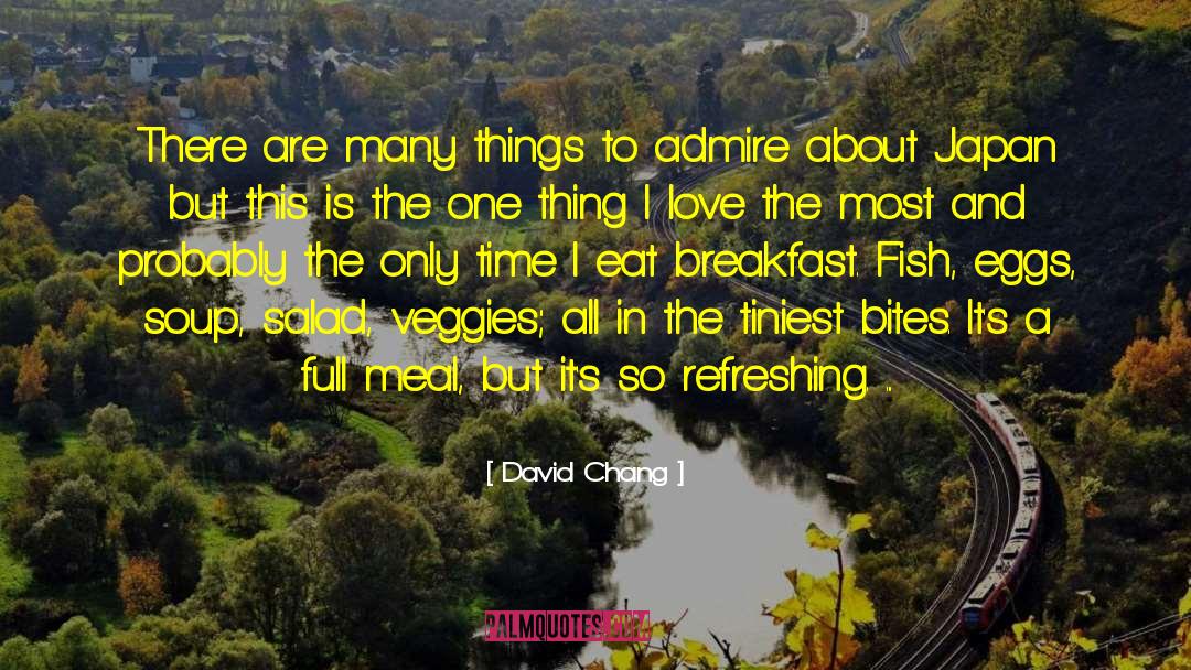 David Chang Quotes: There are many things to