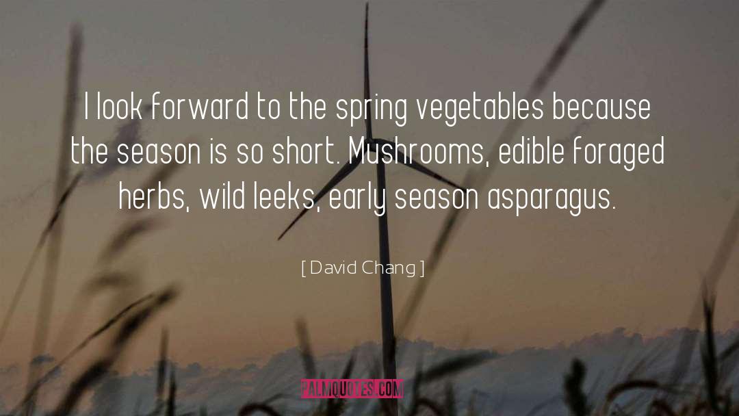 David Chang Quotes: I look forward to the
