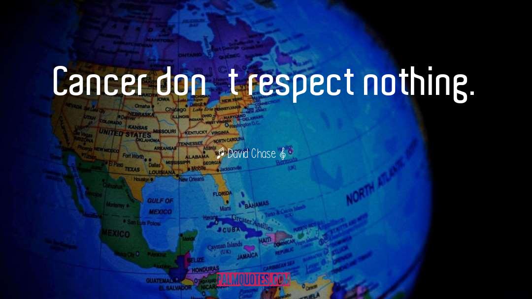 David Chase Quotes: Cancer don't respect nothing.