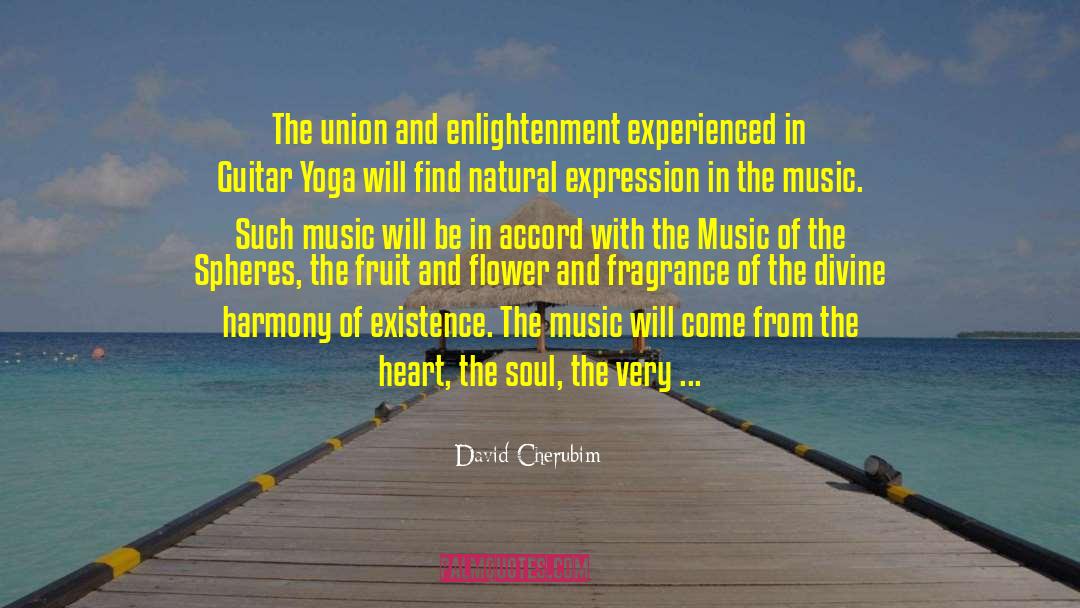 David Cherubim Quotes: The union and enlightenment experienced