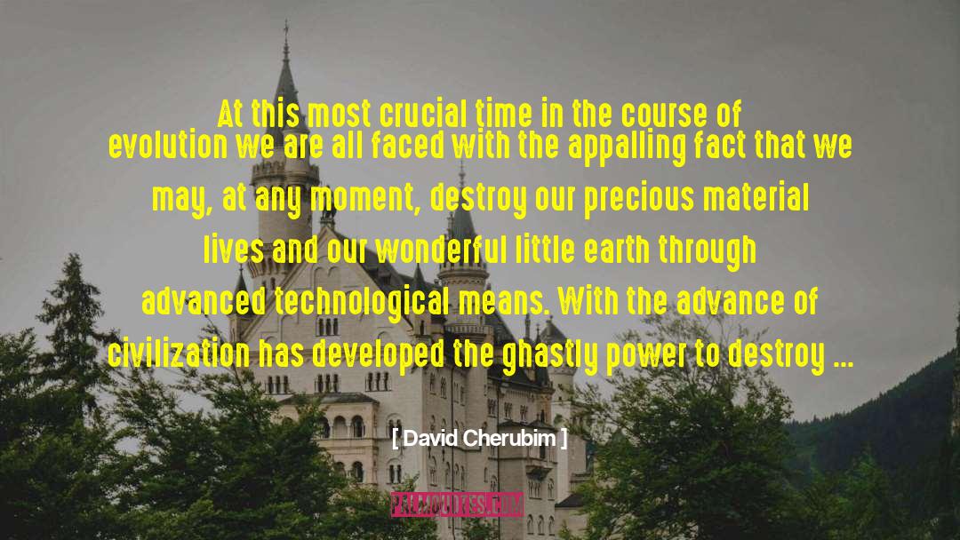 David Cherubim Quotes: At this most crucial time