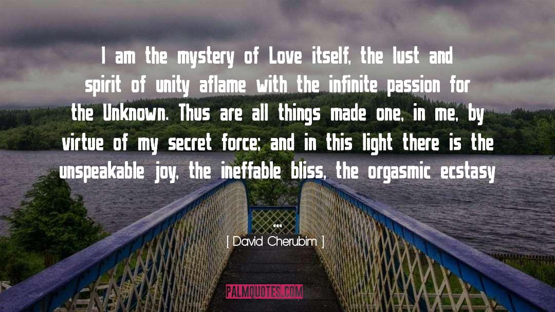 David Cherubim Quotes: I am the mystery of