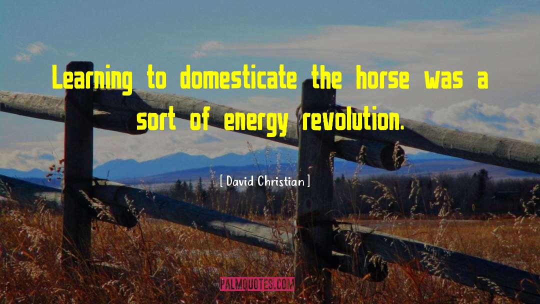 David Christian Quotes: Learning to domesticate the horse