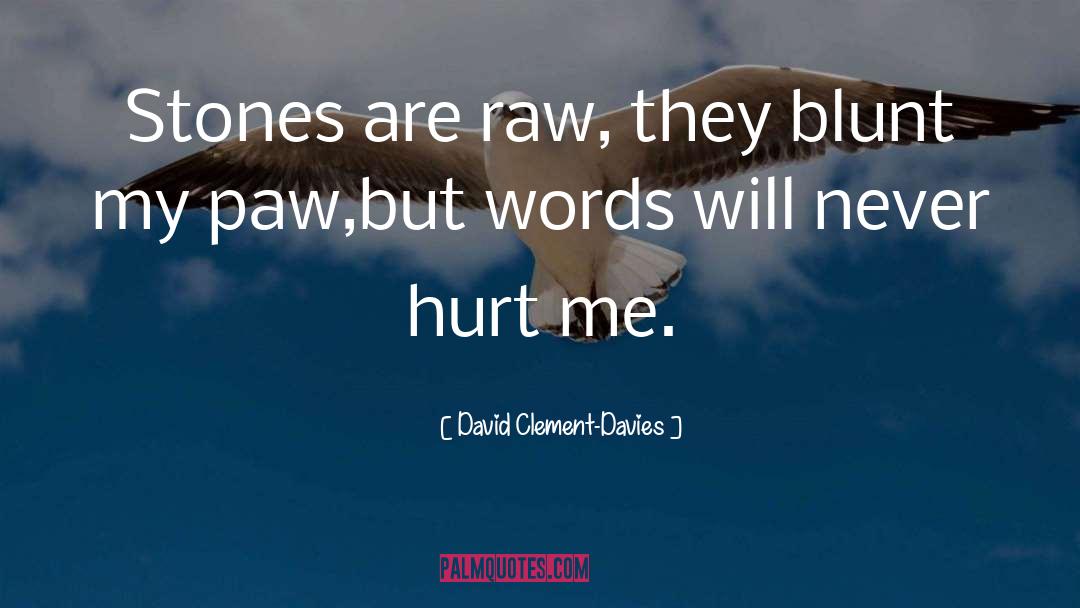 David Clement-Davies Quotes: Stones are raw, they blunt