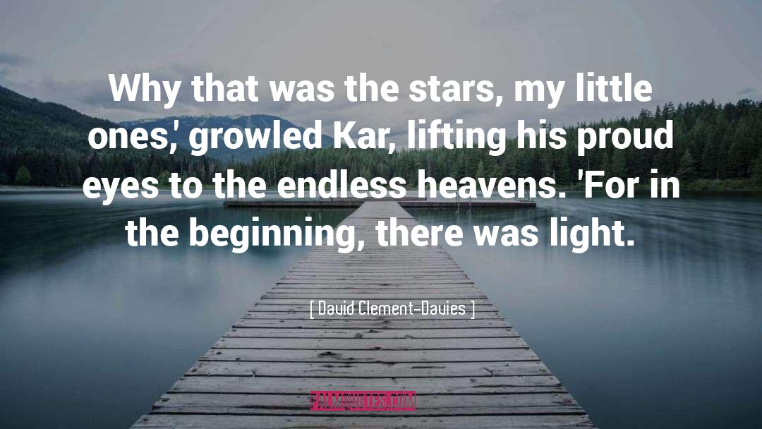 David Clement-Davies Quotes: Why that was the stars,