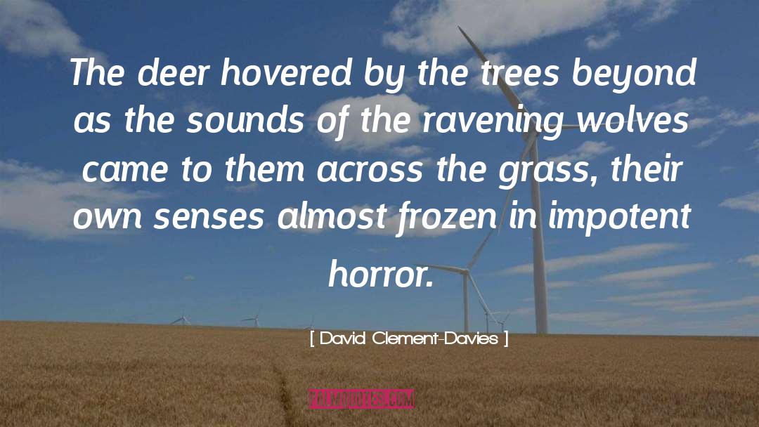 David Clement-Davies Quotes: The deer hovered by the