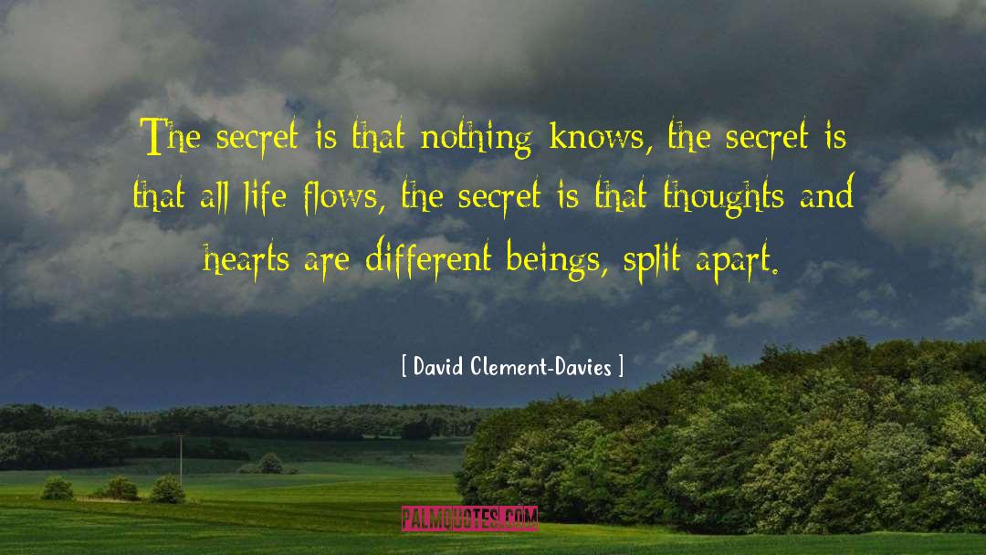 David Clement-Davies Quotes: The secret is that nothing