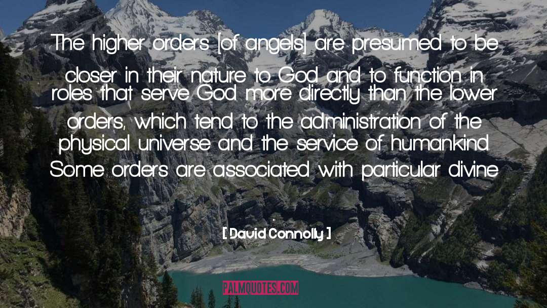 David Connolly Quotes: The higher orders [of angels]