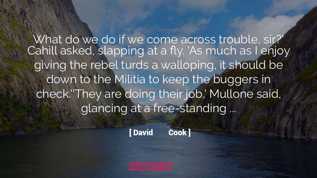 David Cook Quotes: What do we do if