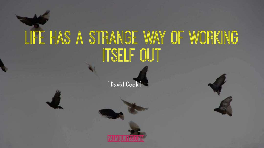 David Cook Quotes: Life has a strange way