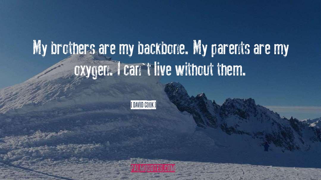 David Cook Quotes: My brothers are my backbone.