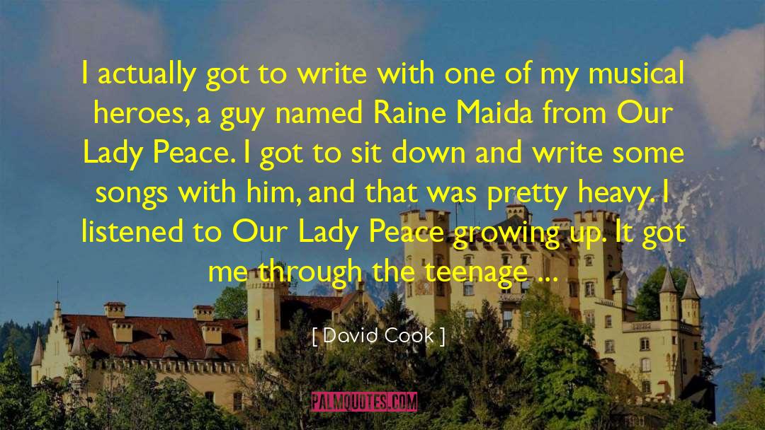 David Cook Quotes: I actually got to write