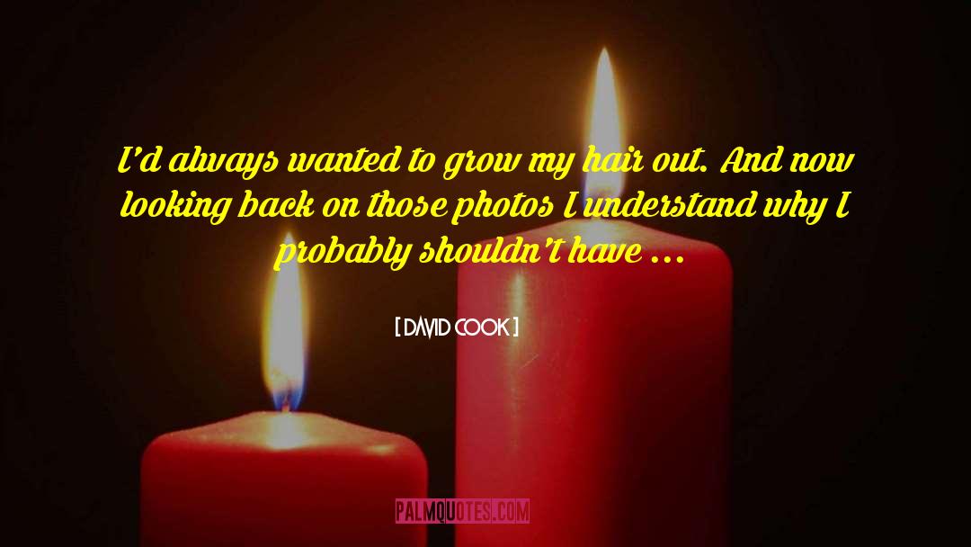 David Cook Quotes: I'd always wanted to grow