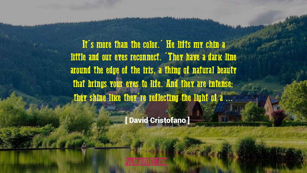 David Cristofano Quotes: It's more than the color.'