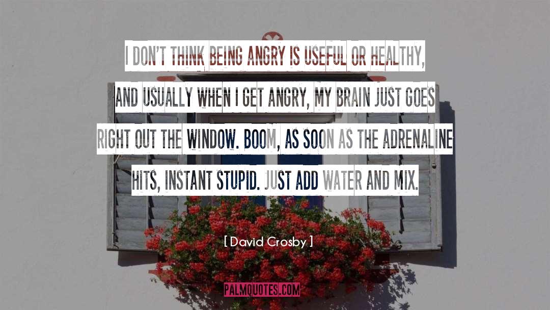 David Crosby Quotes: I don't think being angry