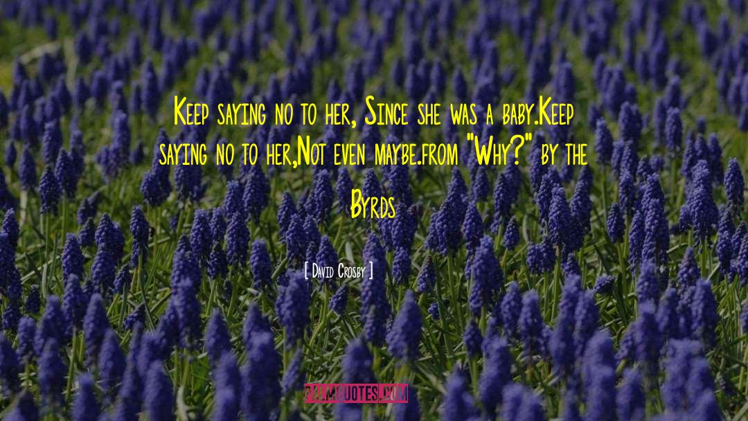 David Crosby Quotes: Keep saying no to her,