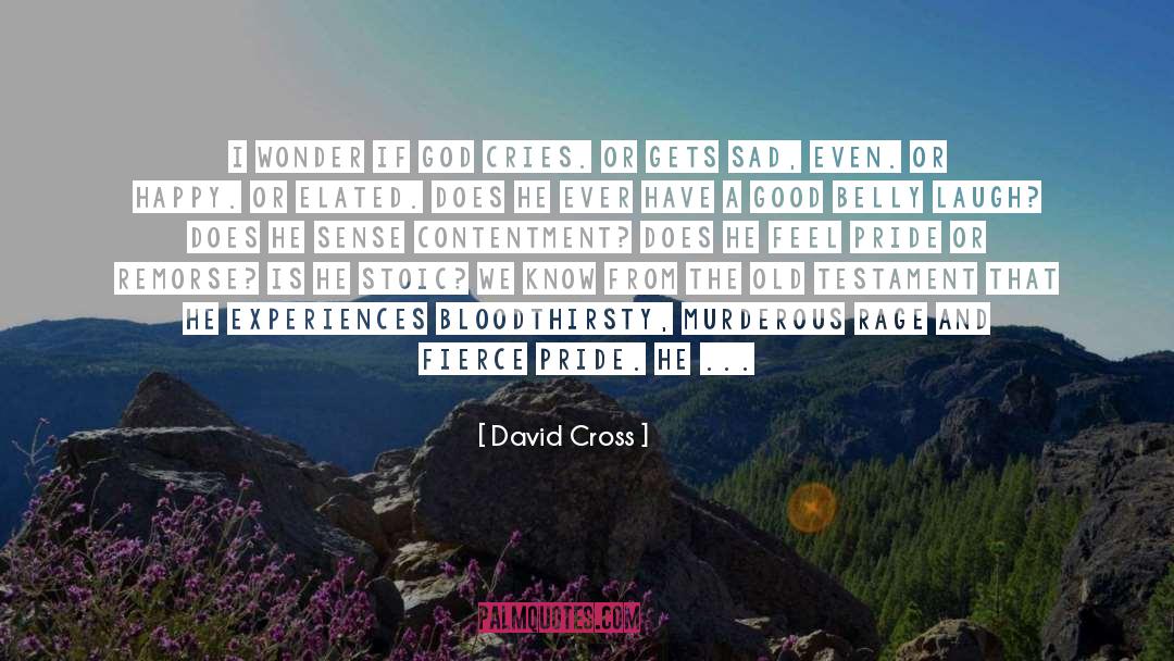 David Cross Quotes: I wonder if God cries.