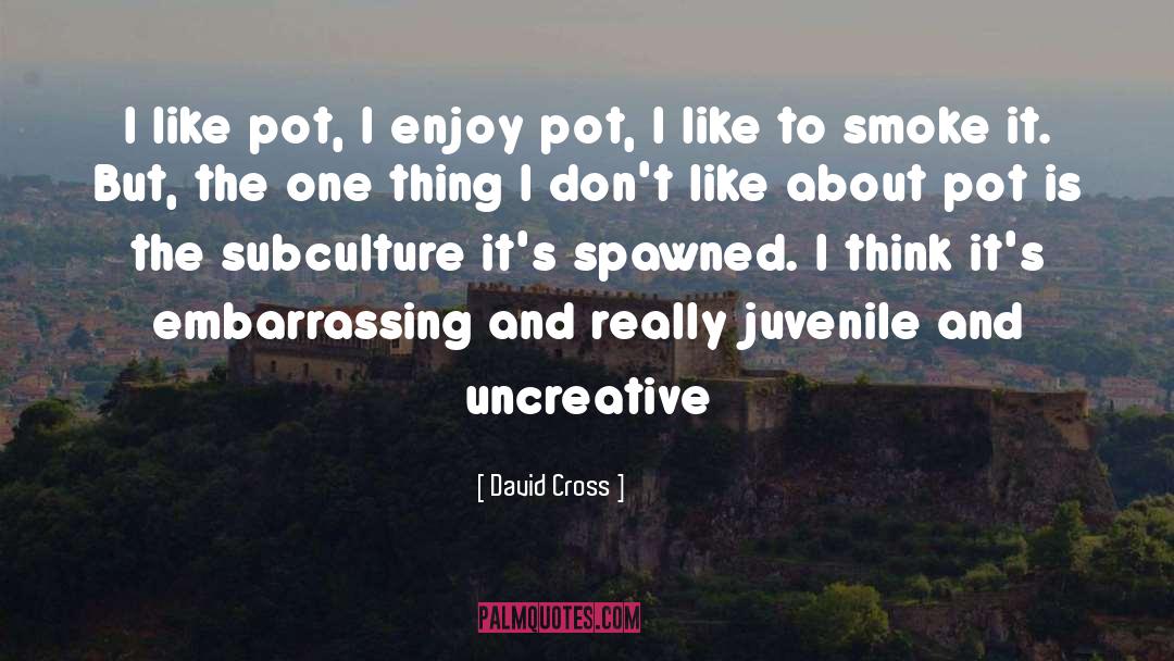 David Cross Quotes: I like pot, I enjoy
