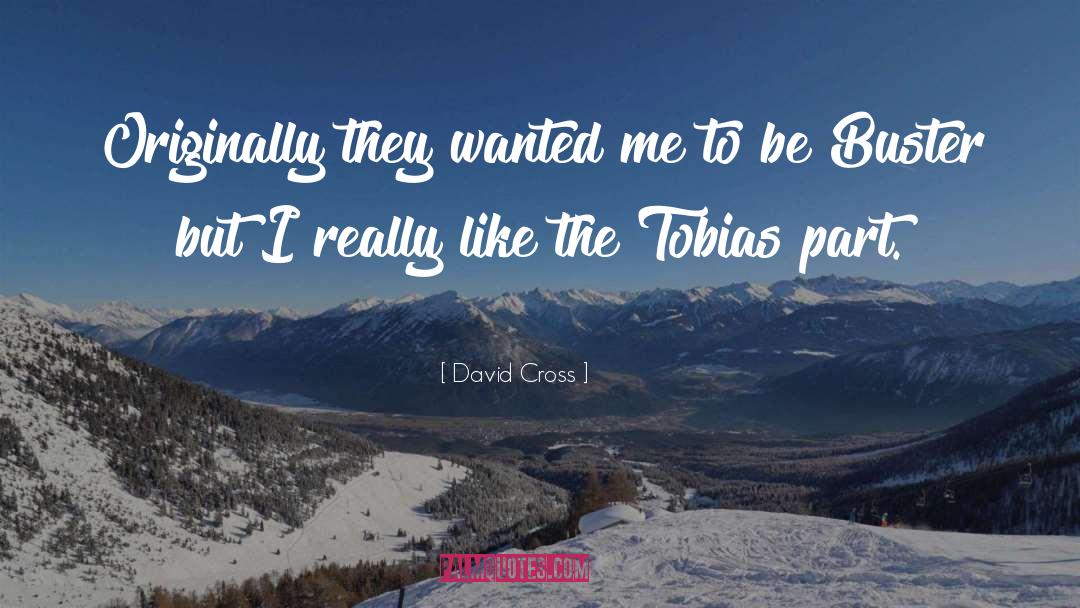 David Cross Quotes: Originally they wanted me to