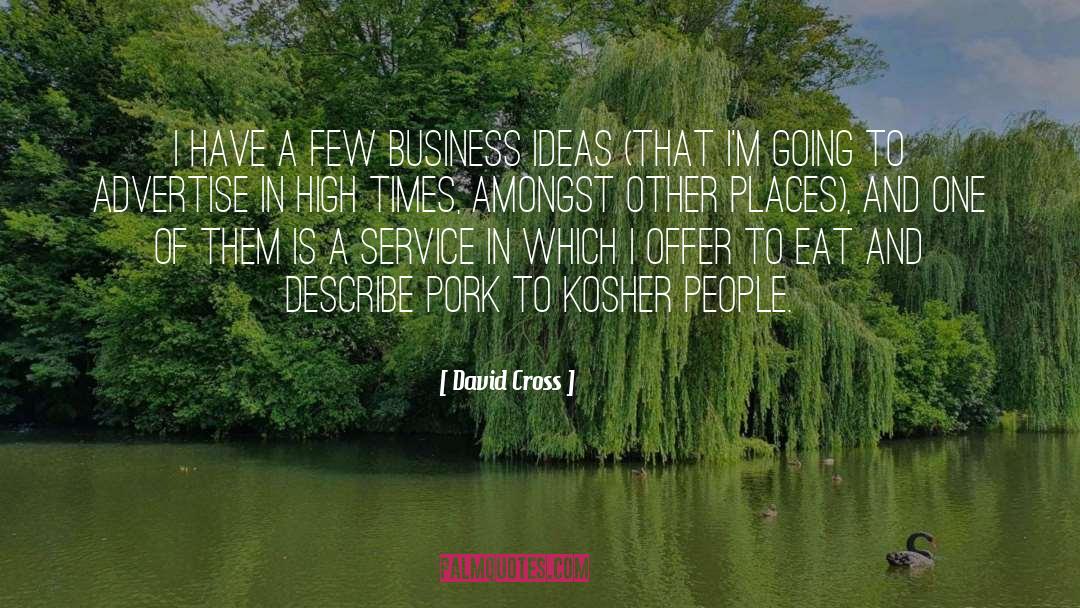 David Cross Quotes: I have a few business