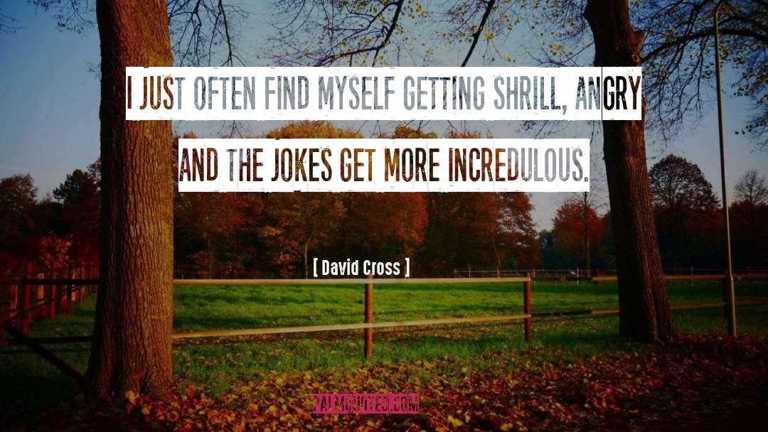 David Cross Quotes: I just often find myself