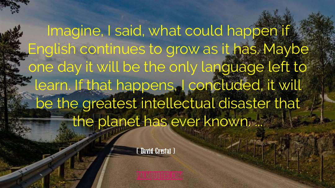 David Crystal Quotes: Imagine, I said, what could